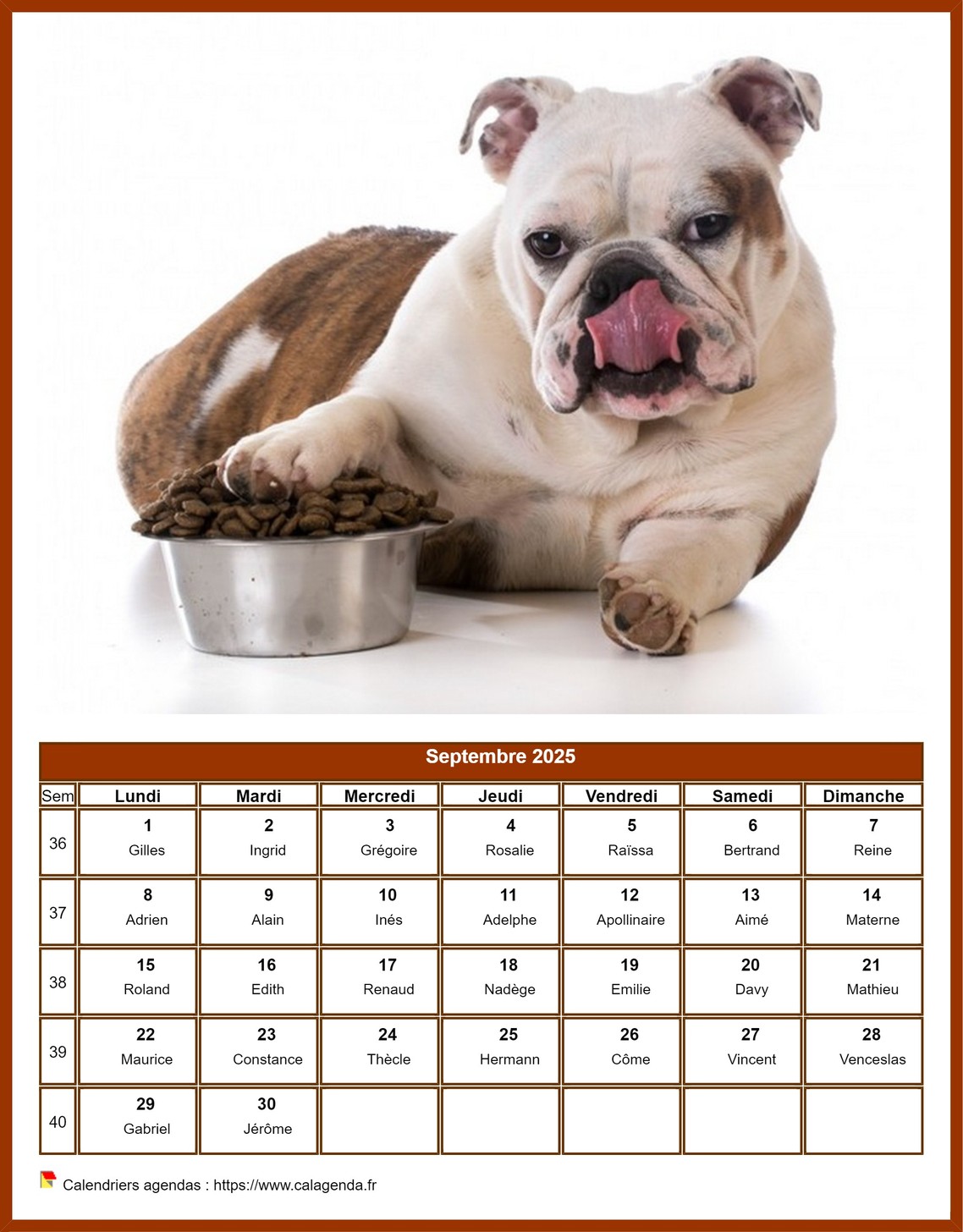 Calendrier septembre 2025 chiens