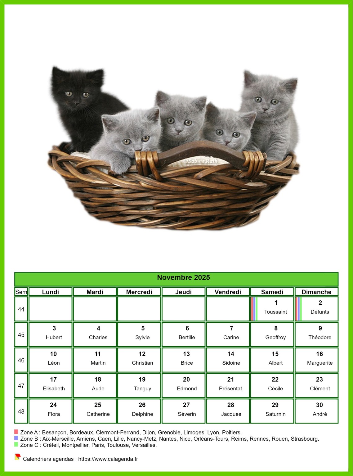Calendrier novembre 2025 chats