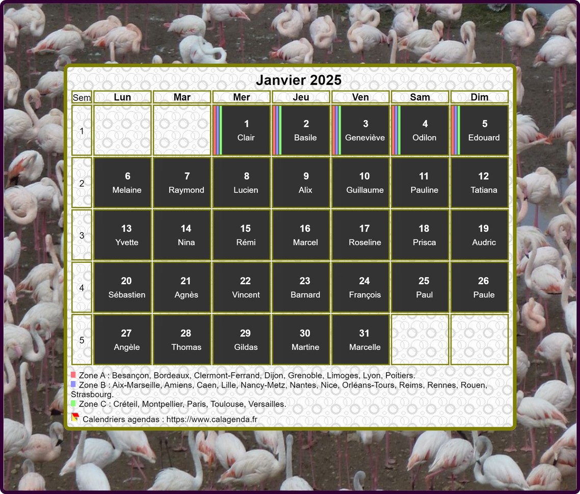 Calendrier 2025 agenda artistique mensuel, cadre photo flamands roses Calendrier 2025 agenda artistique mensuel, cadre photo flamands roses