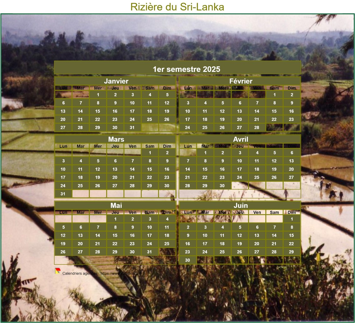 Calendrier 2025 artistique semestriel à imprimer, format mini de poche, avec photo Calendrier 2025 artistique semestriel à imprimer, format mini de poche, avec photo