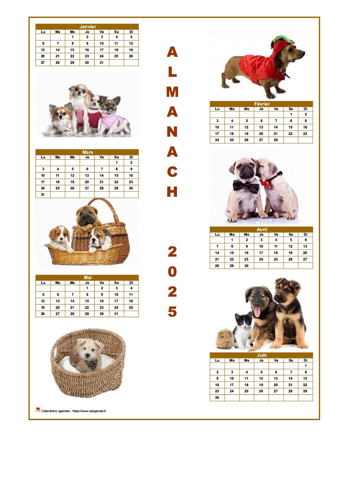 Calendrier 2025 semestriel chiens format portrait