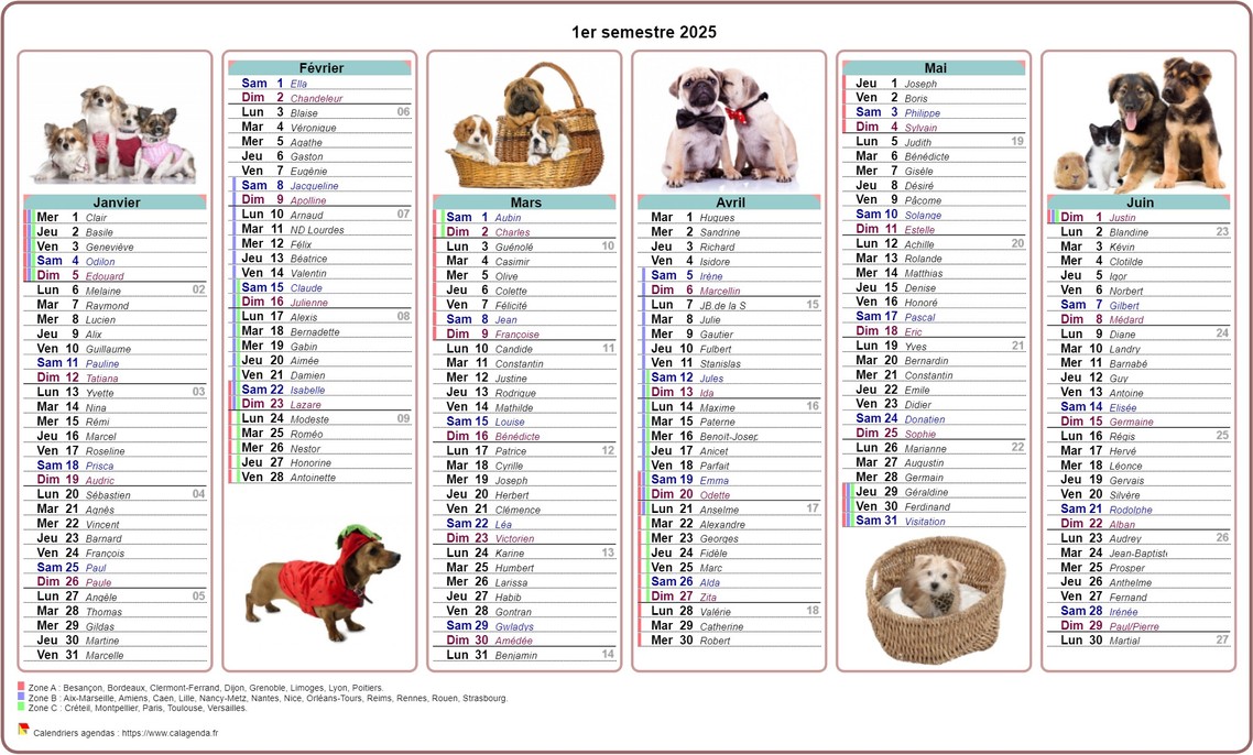 Calendrier 2025 semestriel chiens