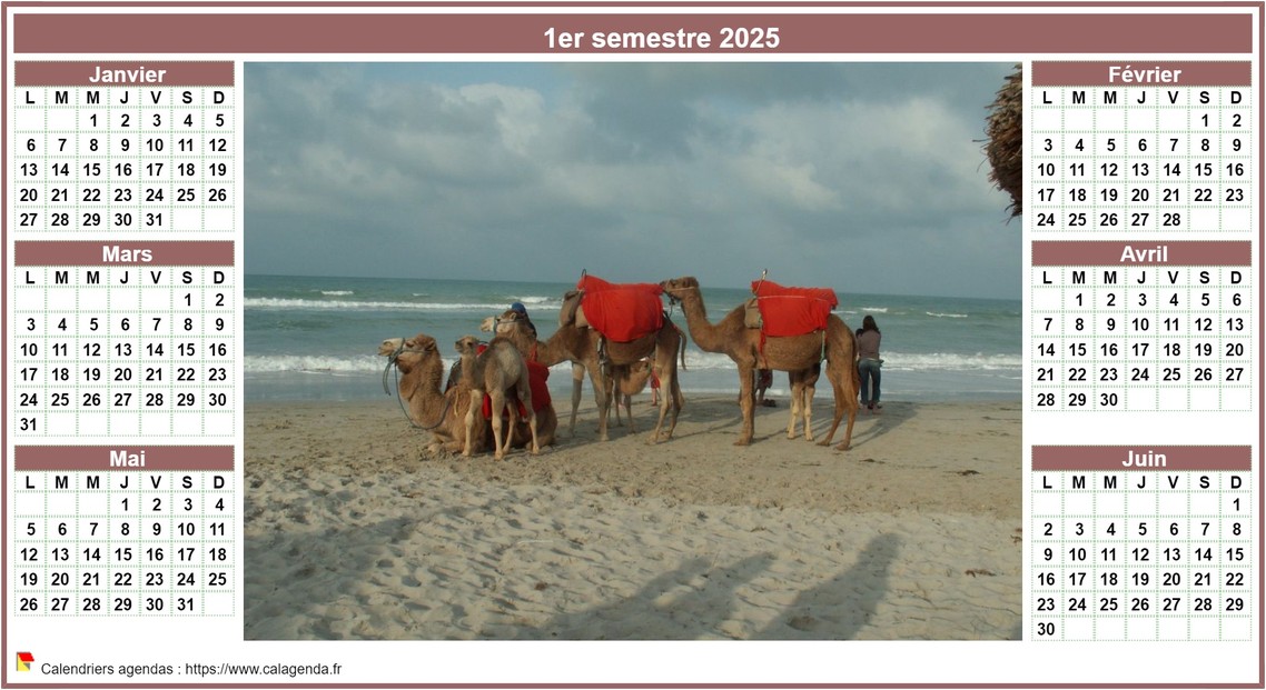 Calendrier 2025 semestriel de style calendrier des postes avec photo au centre Calendrier 2025 semestriel de style calendrier des postes avec photo au centre