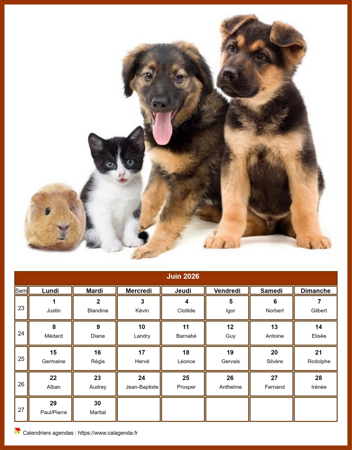 Calendrier juin 2026 chiens