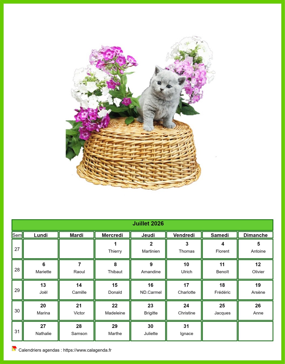 Calendrier juillet 2026 chats