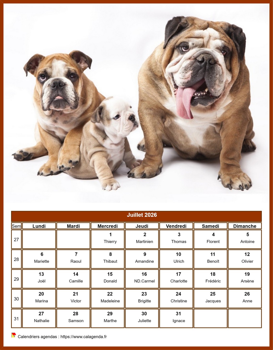 Calendrier juillet 2026 chiens