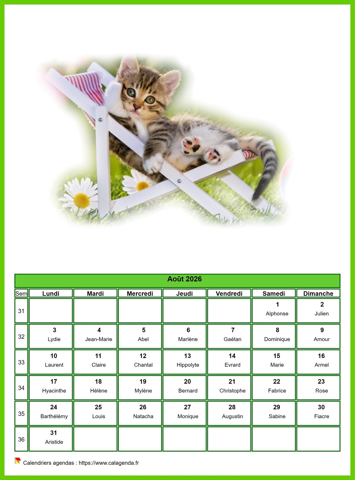 Calendrier août 2026 chats