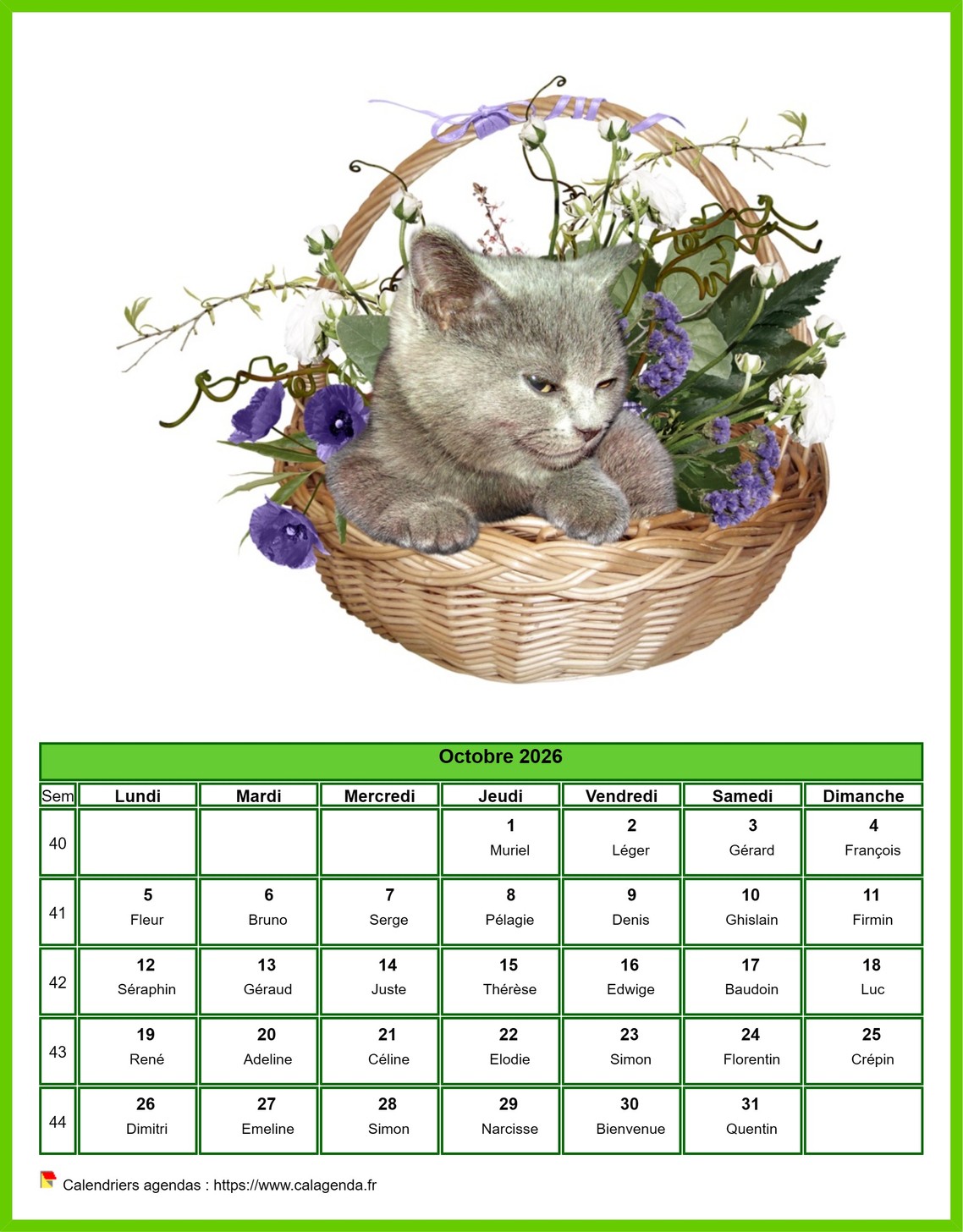 Calendrier octobre 2026 chats