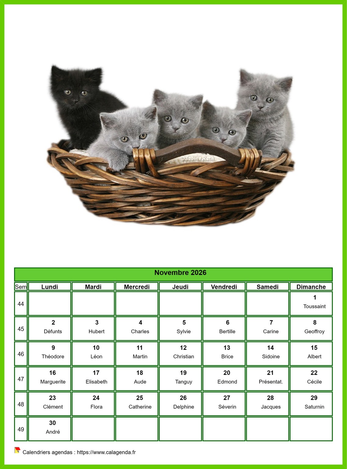 Calendrier novembre 2026 chats