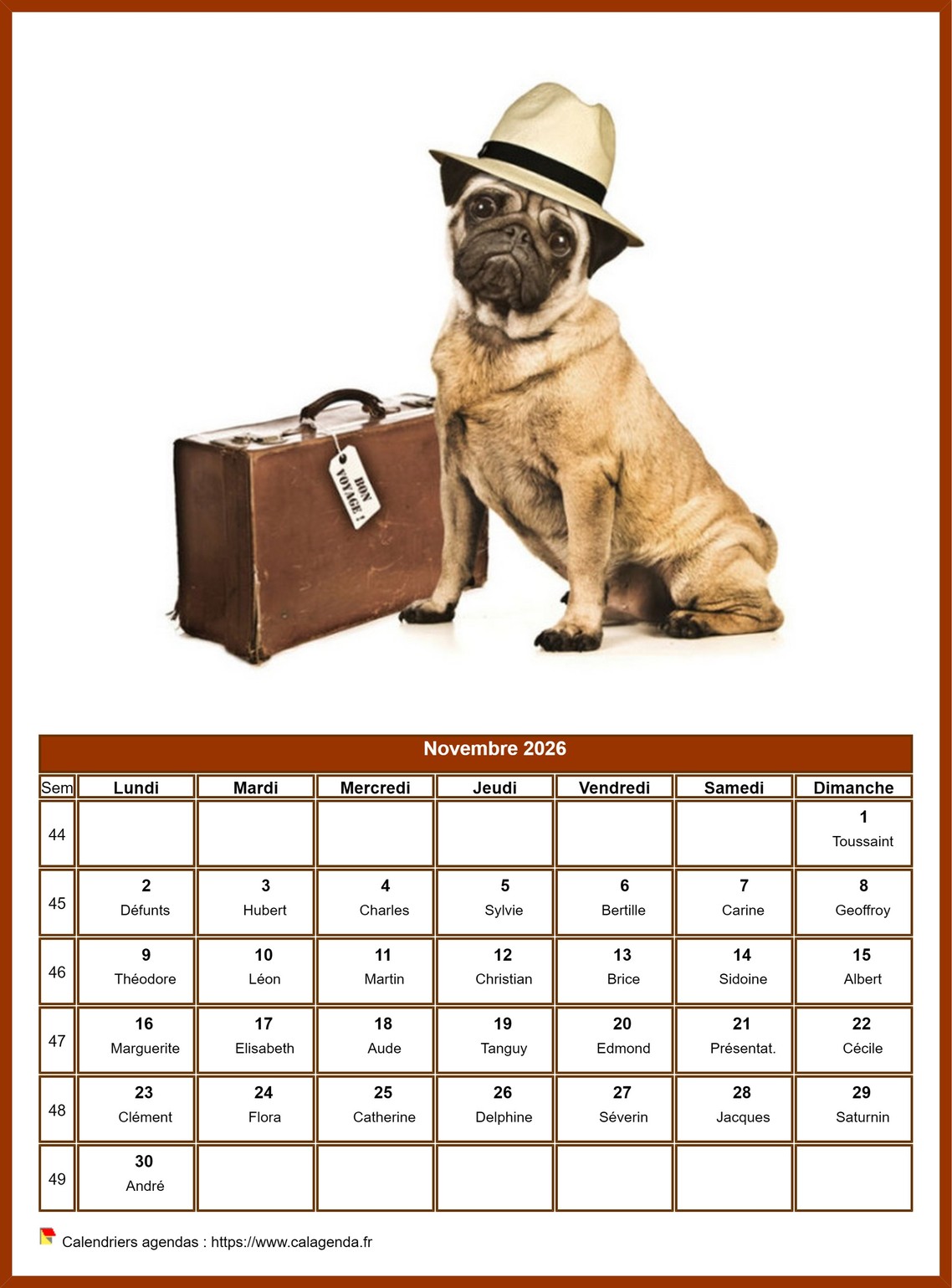Calendrier novembre 2026 chiens