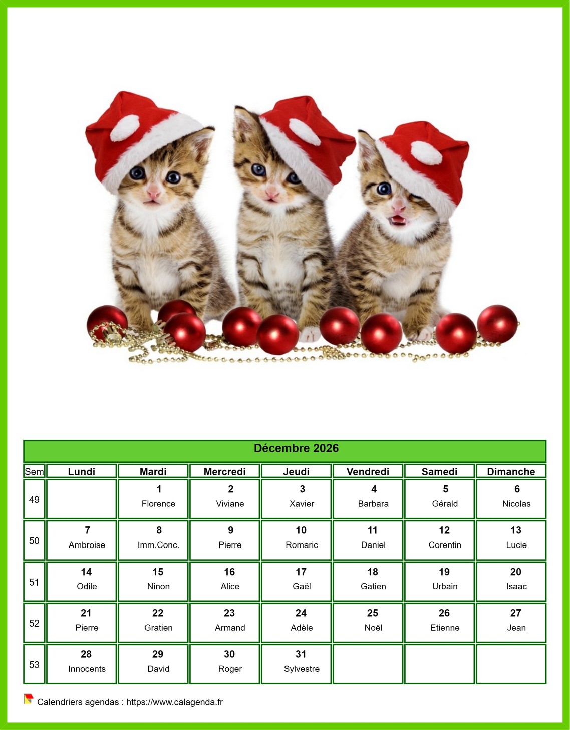 Calendrier décembre 2026 chats