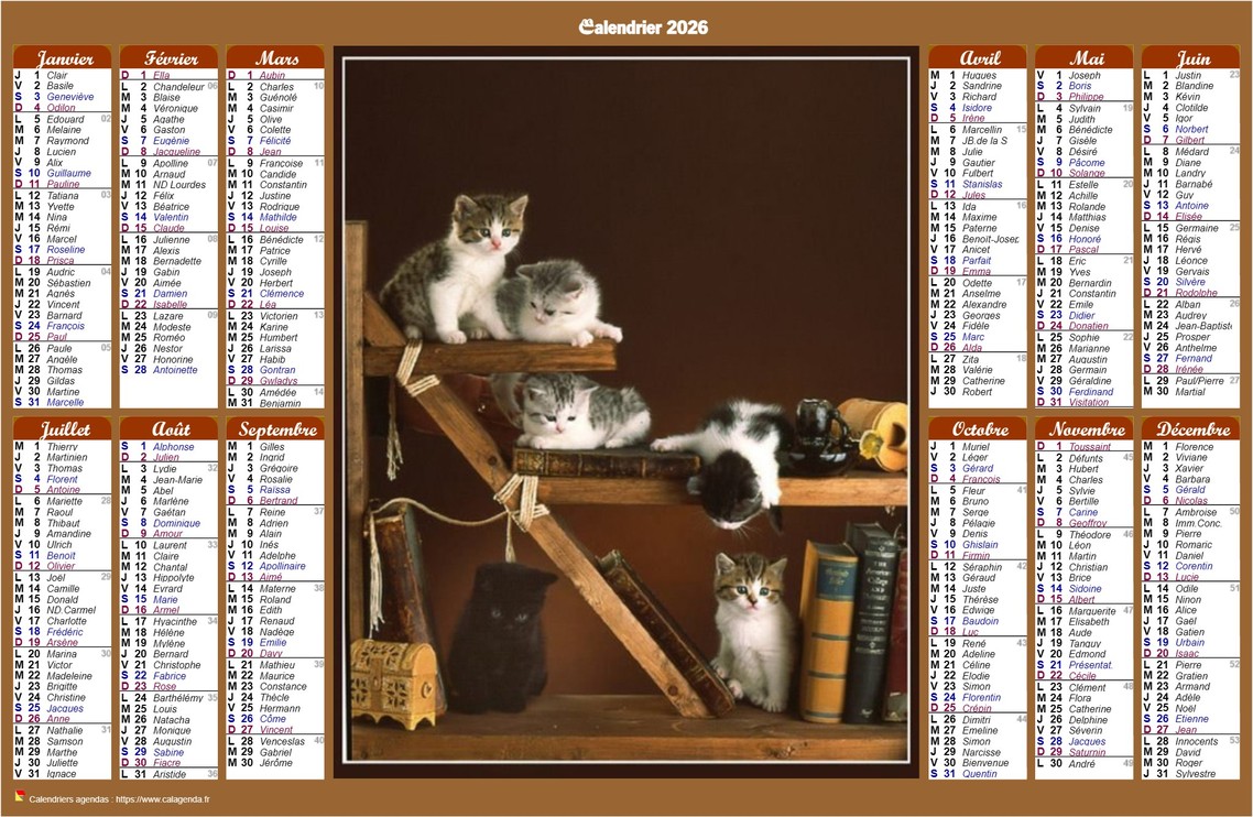 Calendrier 2026 annuel de style calendrier des postes avec des chats