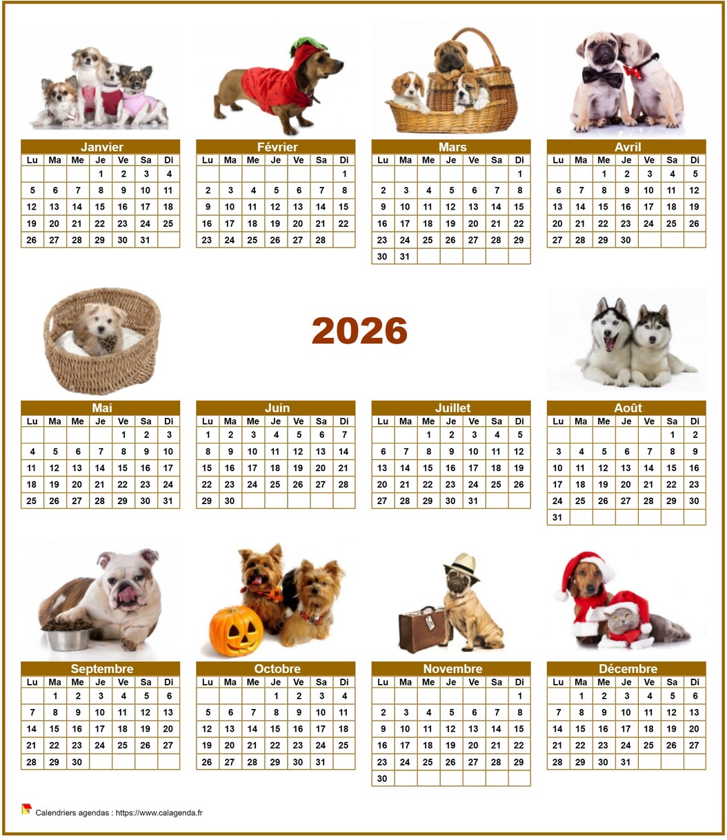 Calendrier 2026 annuel spécial 'chiens' avec 10 photos