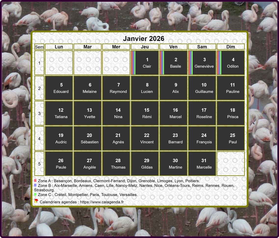 Calendrier 2026 agenda artistique mensuel, cadre photo flamands roses Calendrier 2026 agenda artistique mensuel, cadre photo flamands roses