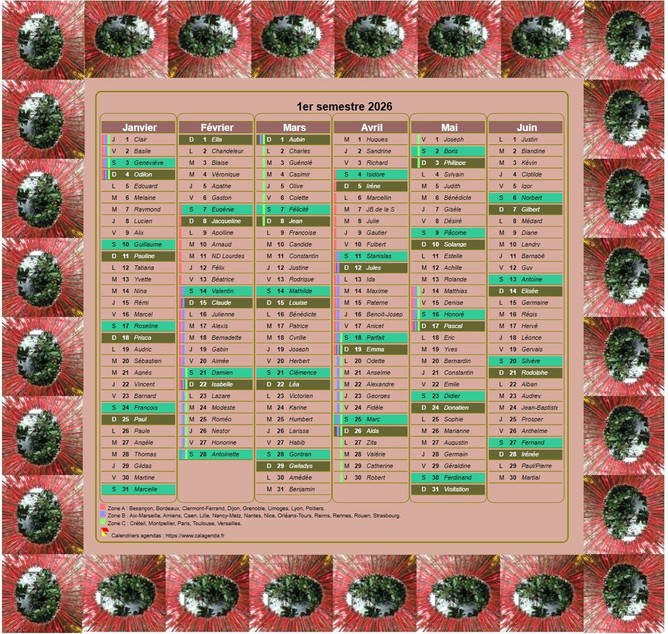 Calendrier 2026 semestriel décoratif à imprimer, avec cadre photo, format portrait, une colonne par mois