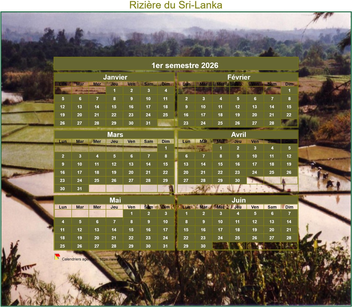 Calendrier 2026 artistique semestriel à imprimer, format mini de poche, avec photo