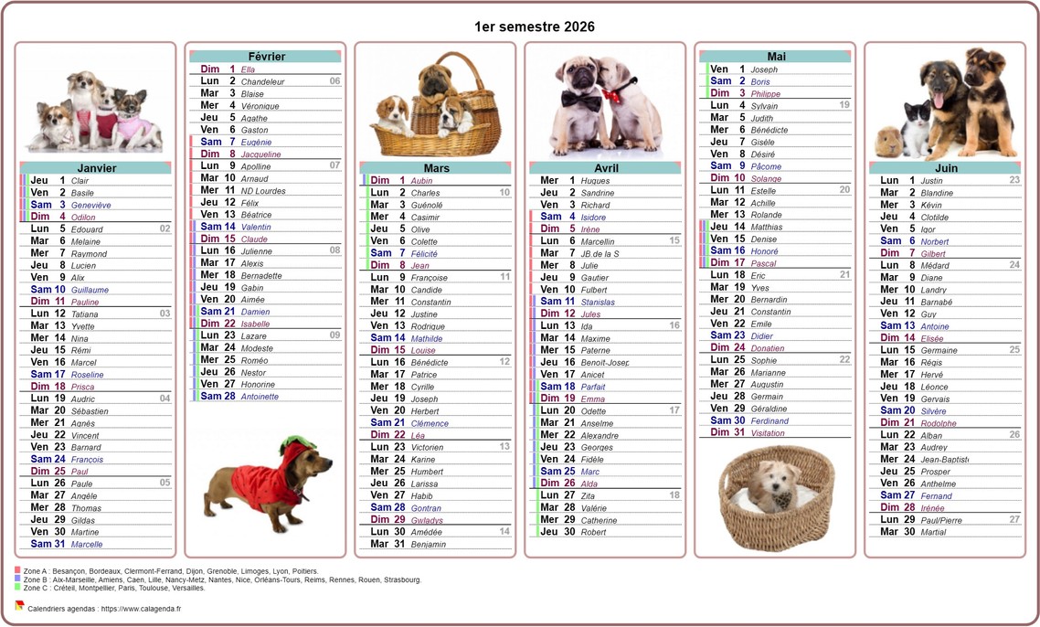 Calendrier 2026 semestriel chiens