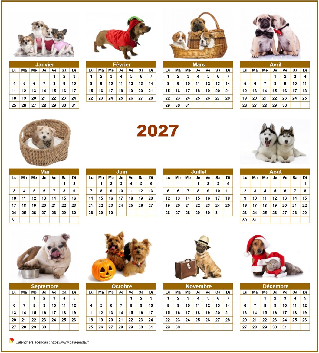 Calendrier 2027 annuel spécial 'chiens' avec 10 photos