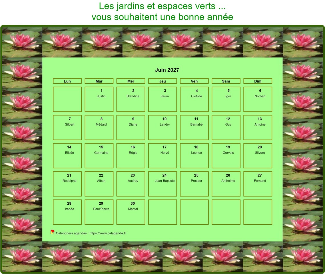 Calendrier 2027 agenda décoratif mensuel, cadre avec motifs nénuphars