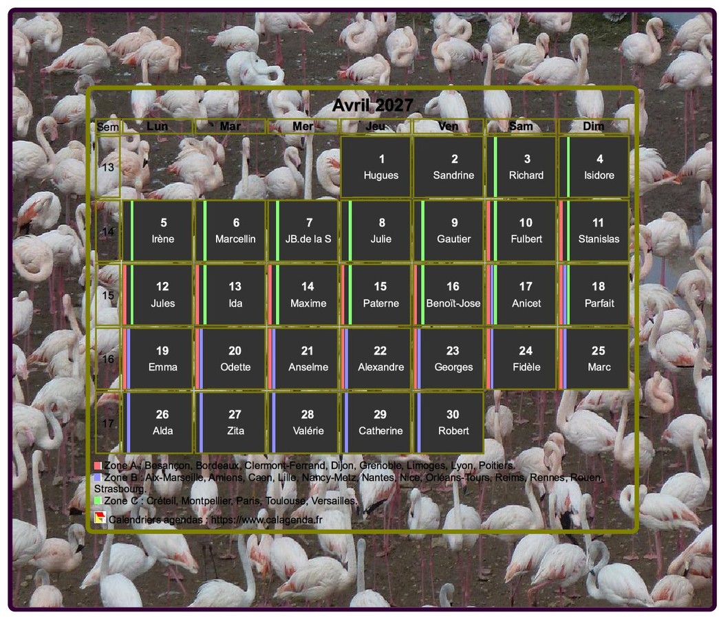 Calendrier 2027 agenda artistique mensuel, cadre photo flamands roses