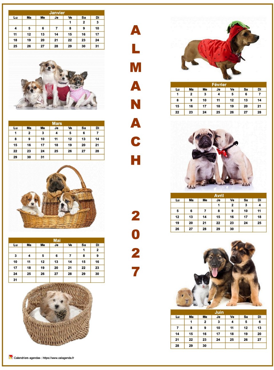 Calendrier 2027 semestriel chiens format portrait
