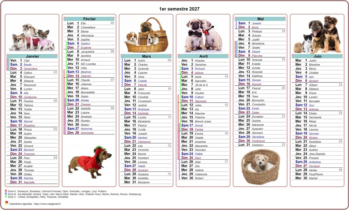 Calendrier 2027 semestriel chiens
