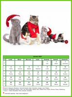 Calendrier de janvier 2027 de la série 'Chats'