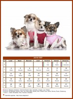 Calendrier de janvier 2027 de la série 'Chiens'