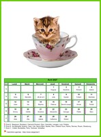 Calendrier d'avril 2027 de la série 'Chats'