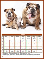 Calendrier de juillet 2027 de la série 'chiens'