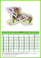 Calendrier d'août 2027 de la série 'Chats'