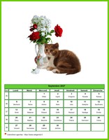 Calendrier de septembre 2027 chats
