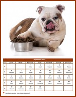Calendrier de septembre 2027 de la série 'chiens'
