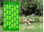 Calendrier 2027 à imprimer semestriel, format paysage, en colonne, au dessus d'une photo (flamands roses).