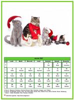 Calendrier de janvier 2012 de la série 'chats'