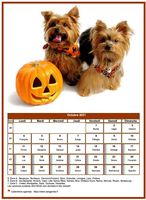 Calendrier d'octobre 2011 de la série 'chiens'