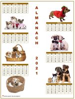 Calendrier 2025 semestriel chiens format portrait