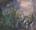 Iris de Claude Monnet